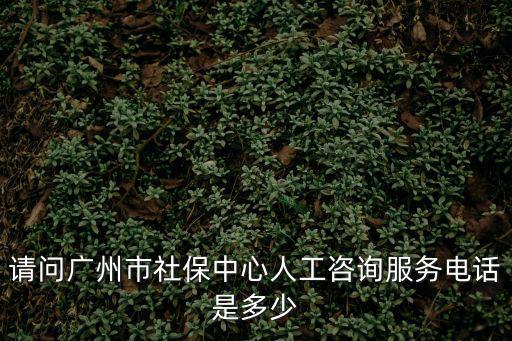 請問廣州市社保中心人工咨詢服務電話是多少