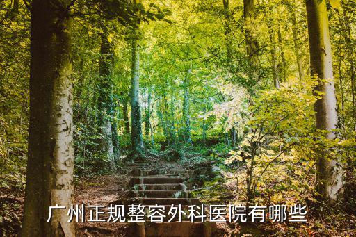 廣州正規整容外科醫院有哪些