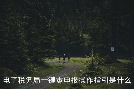 電子稅務(wù)局一鍵零申報(bào)操作指引是什么