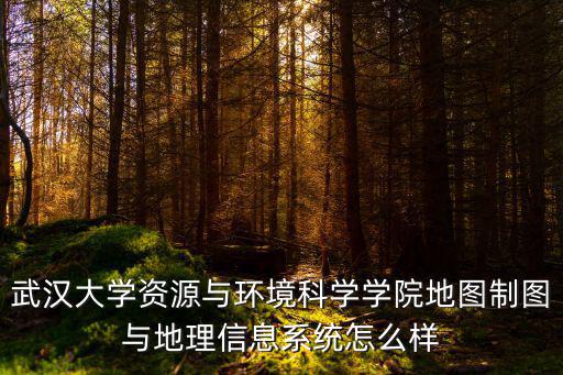 武漢大學資源與環境科學學院地圖制圖與地理信息系統怎么樣