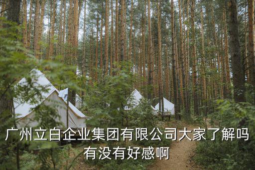 廣州立白企業(yè)集團有限公司大家了解嗎有沒有好感啊