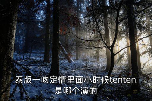 泰版一吻定情里面小時候tenten是哪個演的