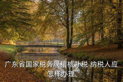 廣東省國家稅務局稽核補稅 納稅人應怎樣辦理
