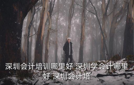 深圳會計培訓(xùn)哪里好 深圳學(xué)會計哪里好 深圳會計培