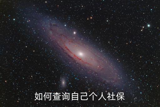 如何查詢自己個(gè)人社保