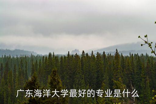 廣東海洋大學專業，廣東海洋大學現在什么專業最好請給出詳細專業