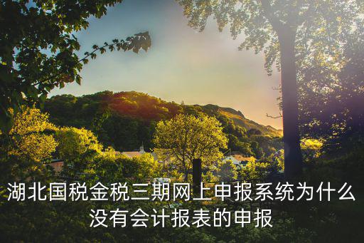 湖北國稅金稅三期網上申報系統為什么沒有會計報表的申報