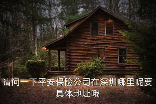 請問一下平安保險公司在深圳哪里呢要具體地址哦