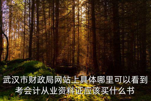 武漢市財政局網站上具體哪里可以看到考會計從業資料證應該買什么書