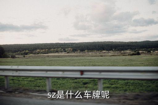 sz是什么車牌呢