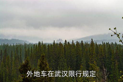 外地車在武漢限行規定