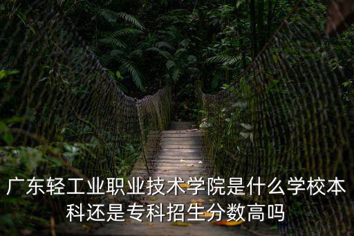 廣東輕工業，廣東輕工業技師學院是大專嗎