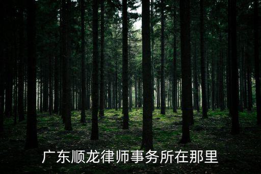 廣東順龍律師事務所在那里