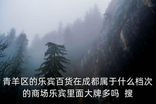 青羊區的樂賓百貨在成都屬于什么檔次的商場樂賓里面大牌多嗎  搜