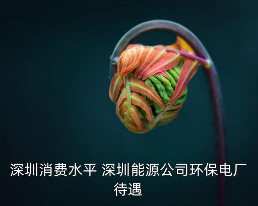 深圳消費水平 深圳能源公司環保電廠待遇