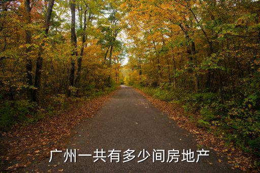 廣州一共有多少間房地產