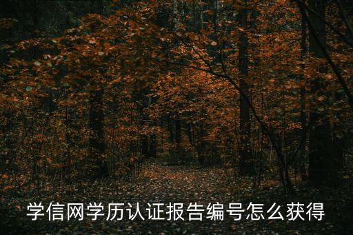 學(xué)信網(wǎng)學(xué)歷認(rèn)證報告編號怎么獲得