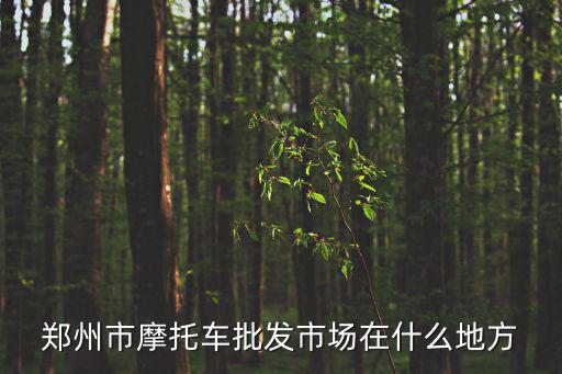 鄭州市摩托車批發市場在什么地方