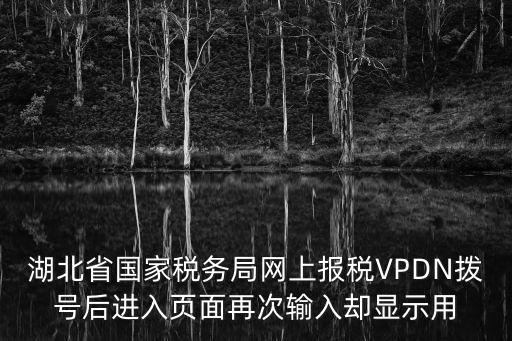 湖北省國家稅務局網上報稅VPDN撥號后進入頁面再次輸入卻顯示用