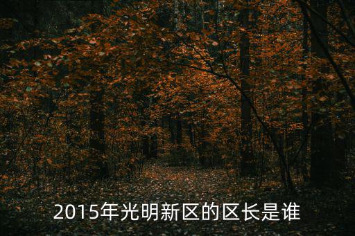 2015年光明新區(qū)的區(qū)長是誰
