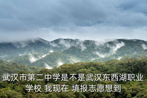 武漢市第二中學是不是武漢東西湖職業學校 我現在 填報志愿想到