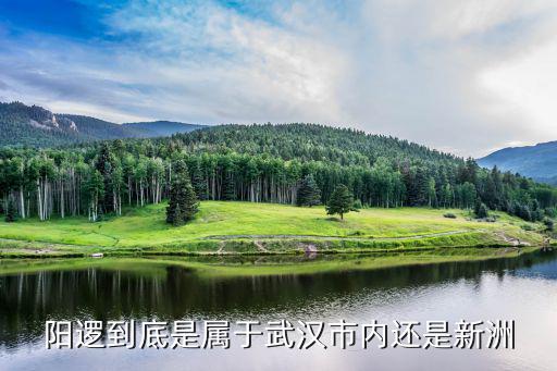 陽邏到底是屬于武漢市內(nèi)還是新洲
