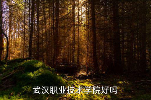 武漢職業技術學院好嗎