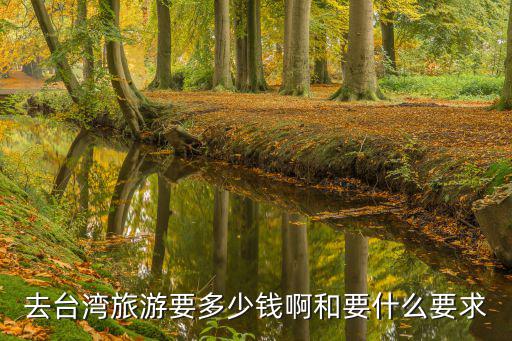 臺灣旅游，去臺灣旅游要多少錢啊和要什么要求