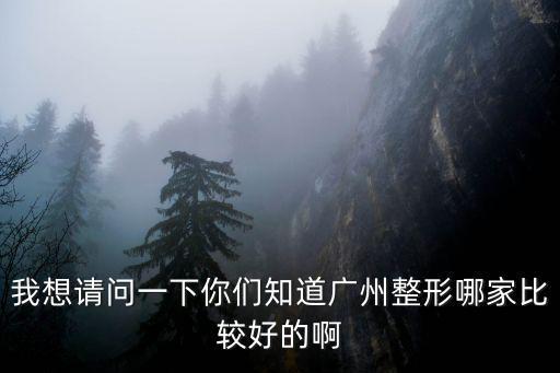 廣州整形，廣州有哪些好的整形機(jī)構(gòu)