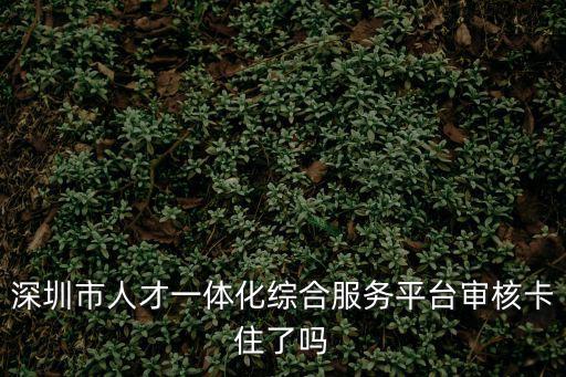 深圳市人才一體化綜合服務(wù)平臺(tái)審核卡住了嗎