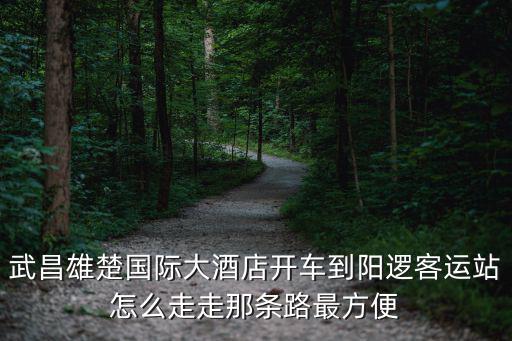 武昌雄楚國際大酒店開車到陽邏客運站怎么走走那條路最方便