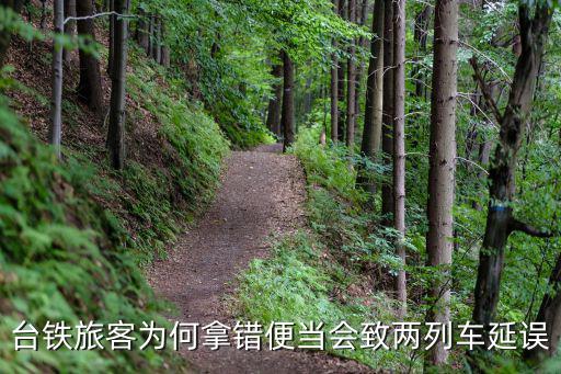 臺鐵旅客為何拿錯便當(dāng)會致兩列車延誤