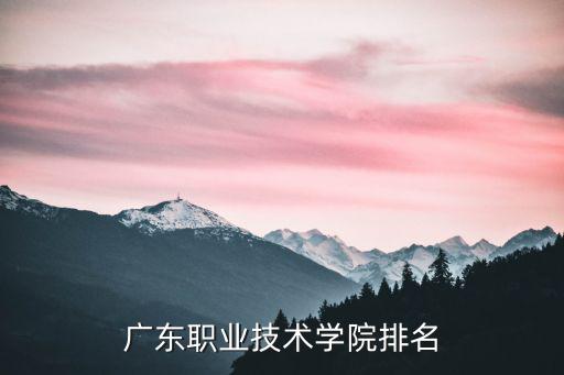 廣東職業技術學院排名