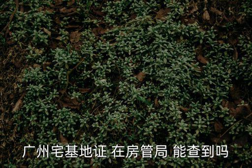 廣州宅基地證 在房管局 能查到嗎