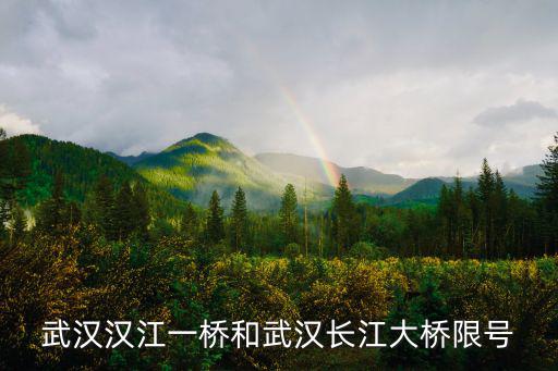 武漢漢江一橋和武漢長江大橋限號