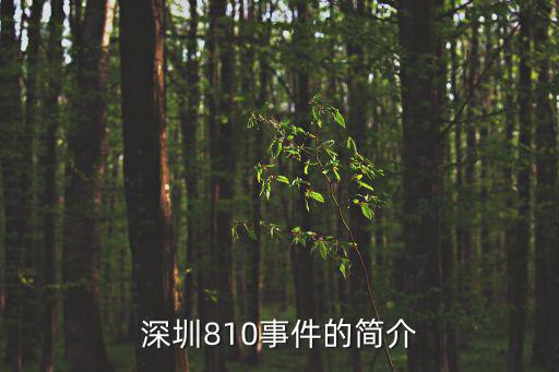 深圳810事件的簡介