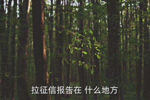 個人征信報告去哪里打，拉征信報告在 什么地方