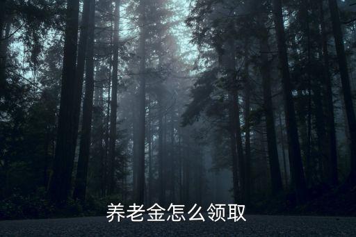 養老金領取，養老金怎么領取