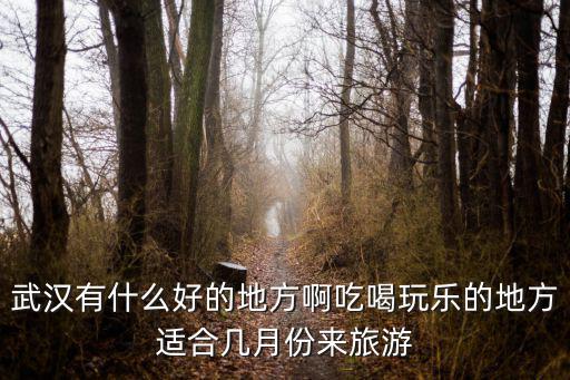 武漢有什么好的地方啊吃喝玩樂的地方適合幾月份來旅游