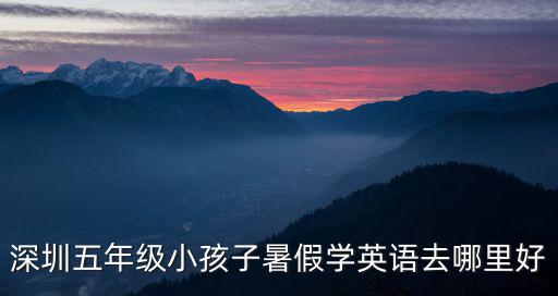 深圳五年級(jí)小孩子暑假學(xué)英語去哪里好