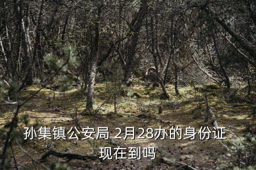 孫集鎮公安局 2月28辦的身份證 現在到嗎