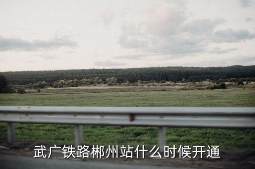 武廣鐵路郴州站什么時候開通