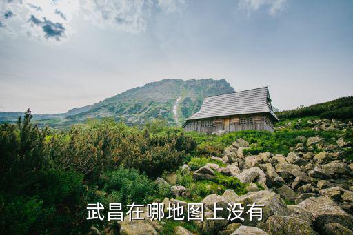 武昌在哪地圖上沒有