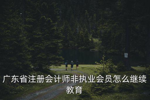 廣東省注冊會計師非執(zhí)業(yè)會員怎么繼續(xù)教育