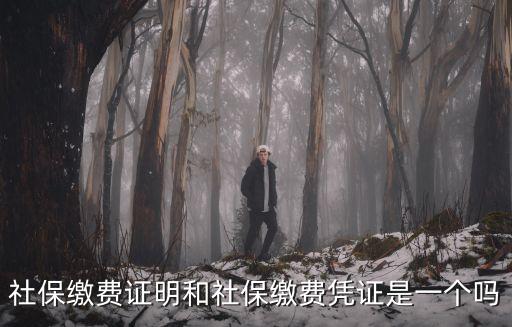 社保繳費證明和社保繳費憑證是一個嗎
