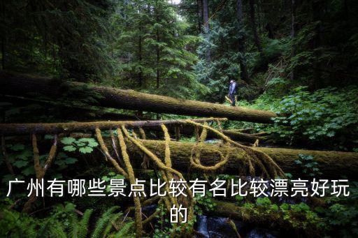 廣州有哪些景點比較有名比較漂亮好玩的