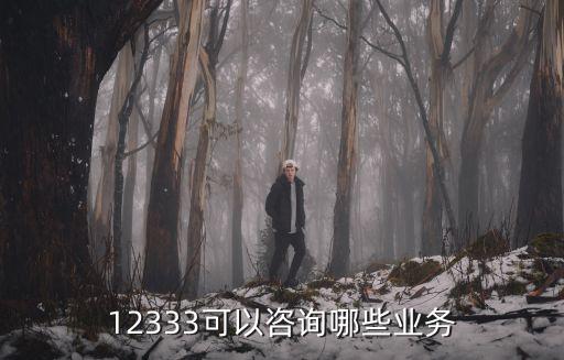 12333可以咨詢哪些業務