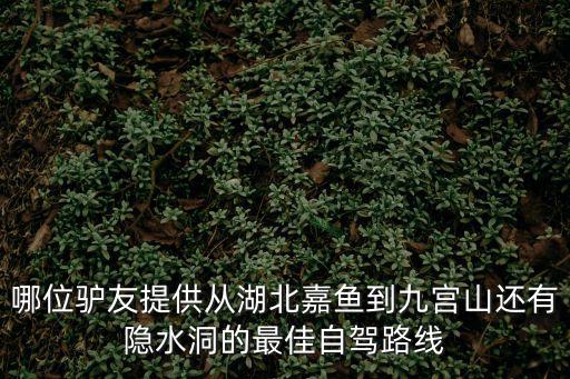 哪位驢友提供從湖北嘉魚到九宮山還有隱水洞的最佳自駕路線