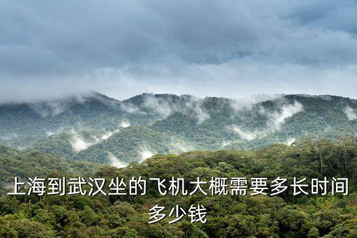 上海到武漢坐的飛機大概需要多長時間多少錢