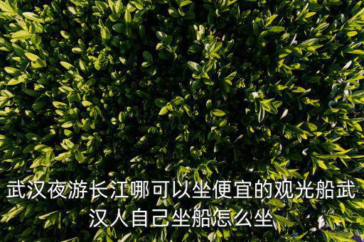 武漢夜游長江，武漢旅游年卡乘夜游長江游船需加什么費用